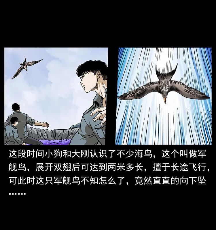 236 神秘的小岛49