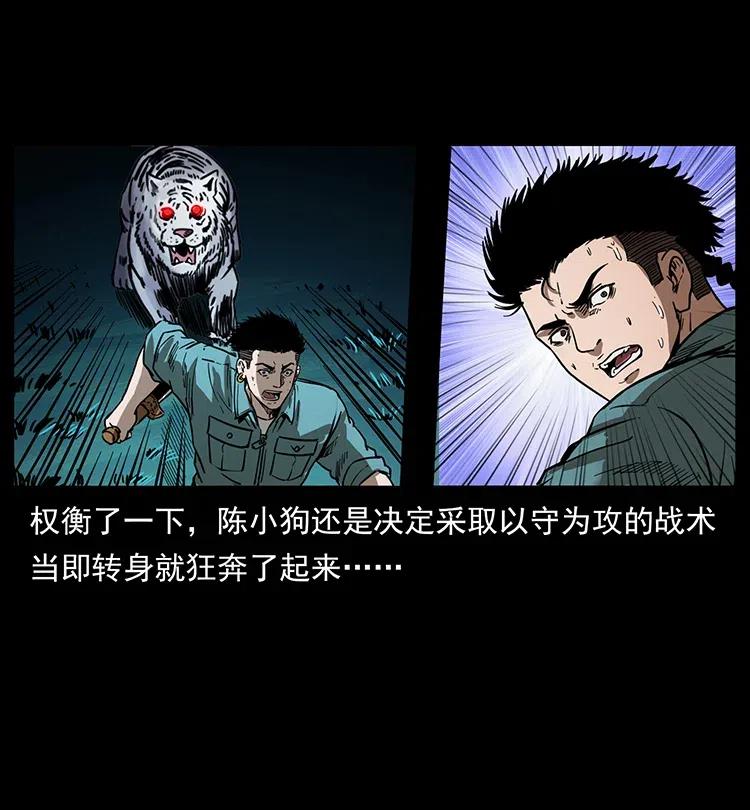 342 白毛僵尸33
