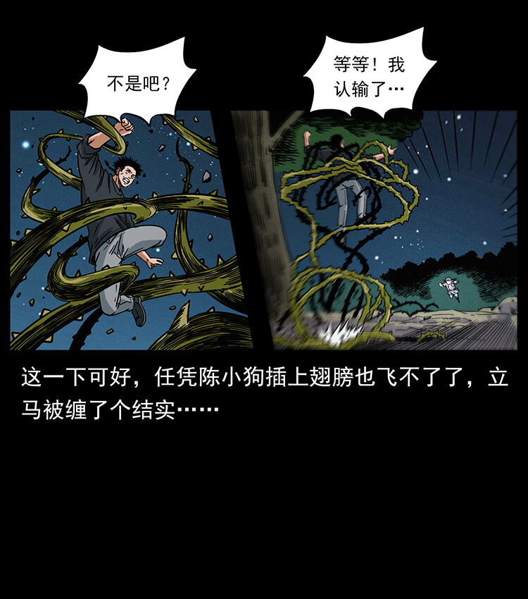 481 树65