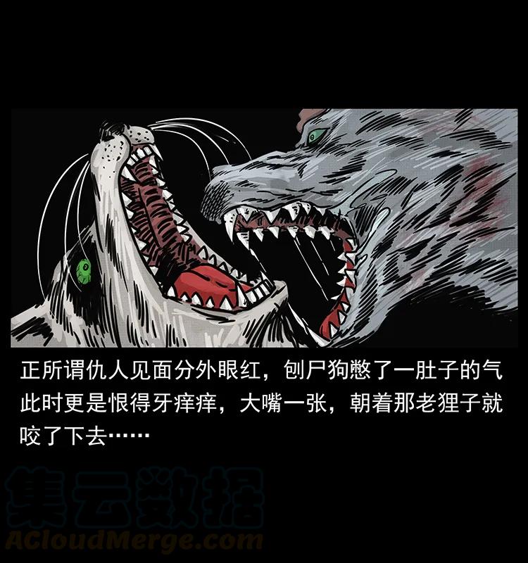 252 危机！危机84
