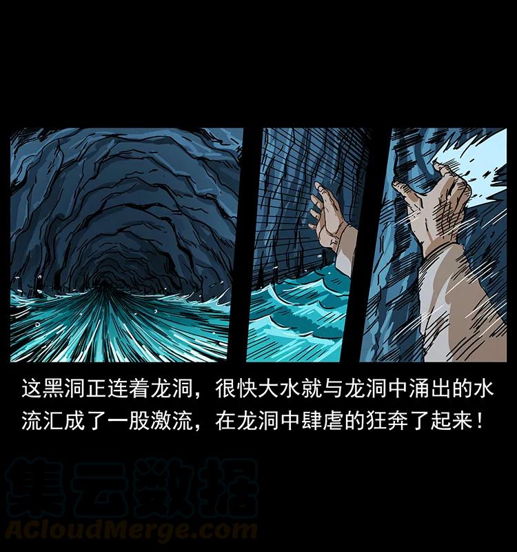 204 回家！48