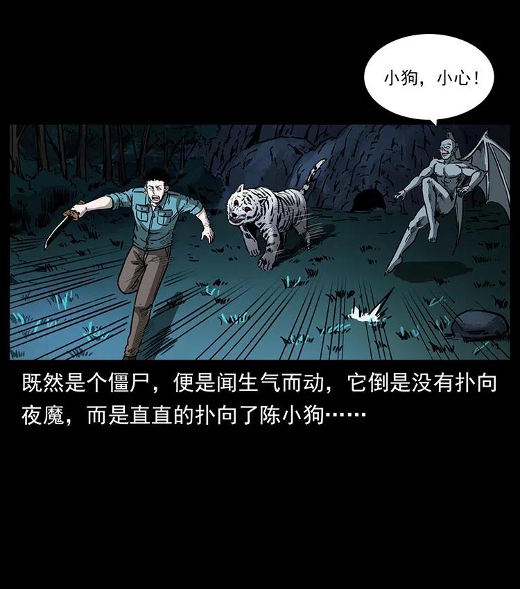 342 白毛僵尸23