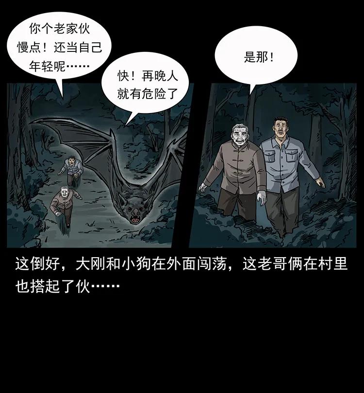 250 走失45