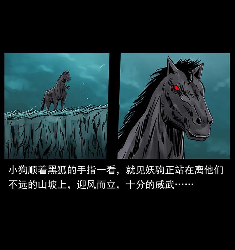 220 漠北白狼王71