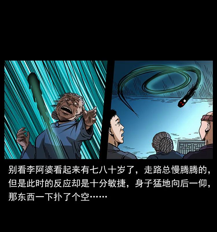 160 李老太太46