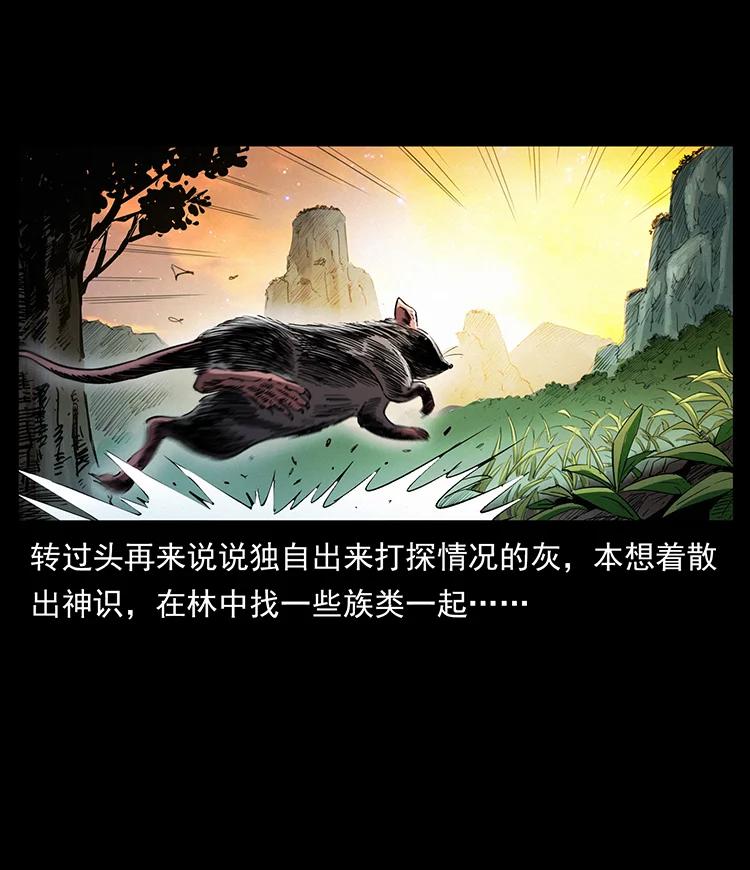 382 何处觅桃园、洪荒自有仙！2