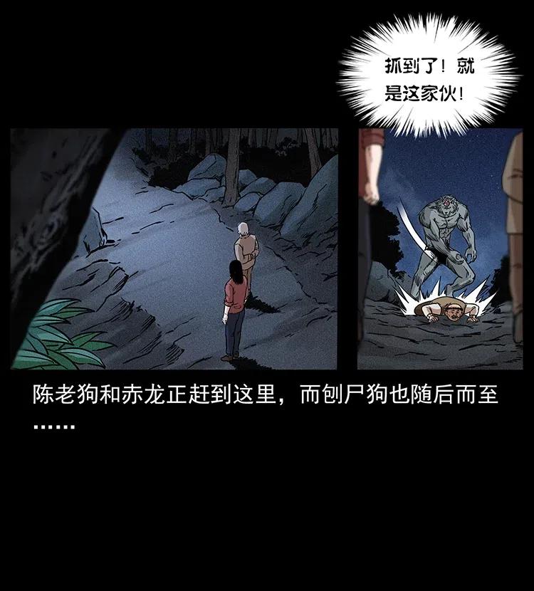 313 兽形僵尸41