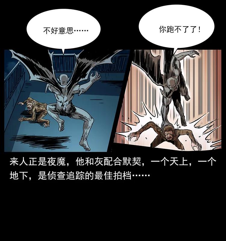 229 东海龙骨2