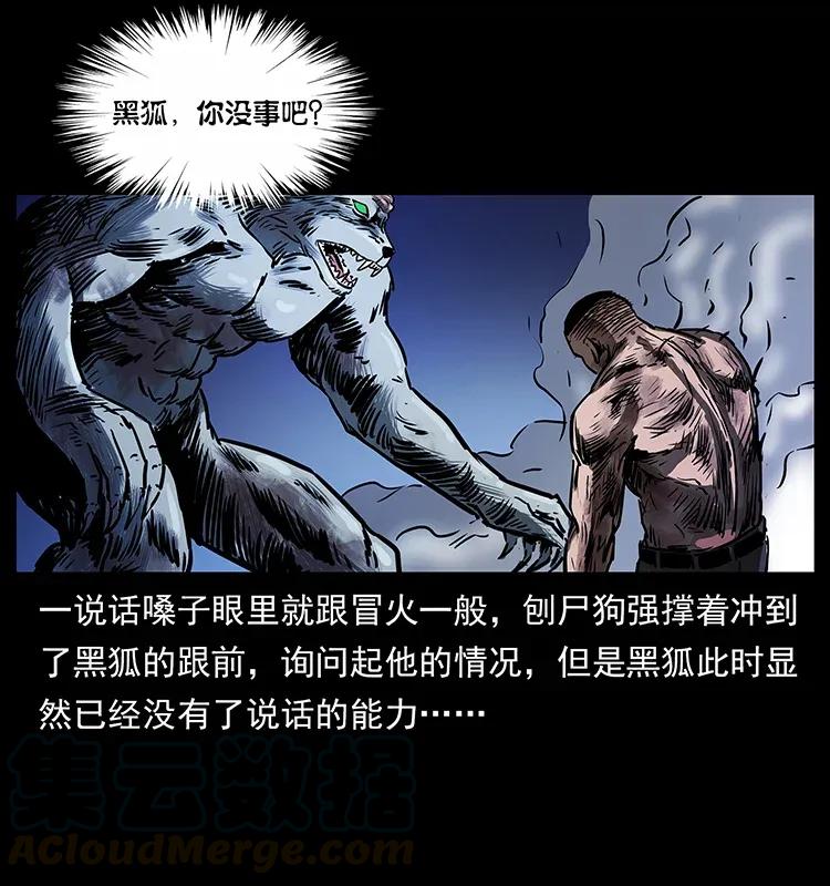 278 黑狐的危机！80
