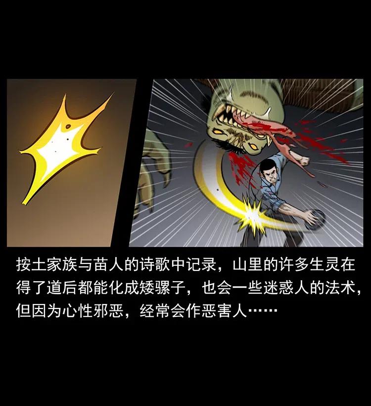 334 山神爷现身41