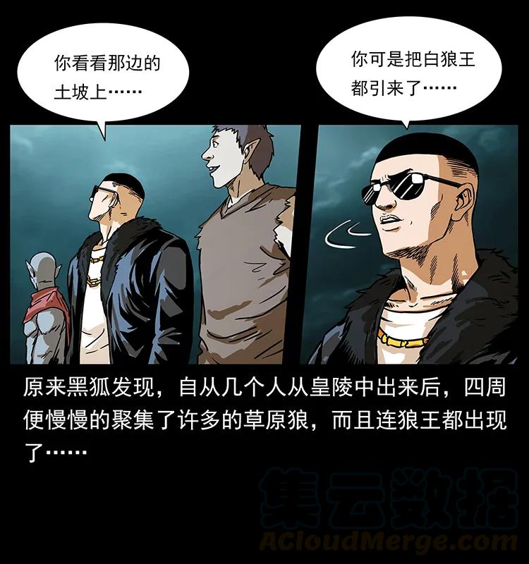 220 漠北白狼王76