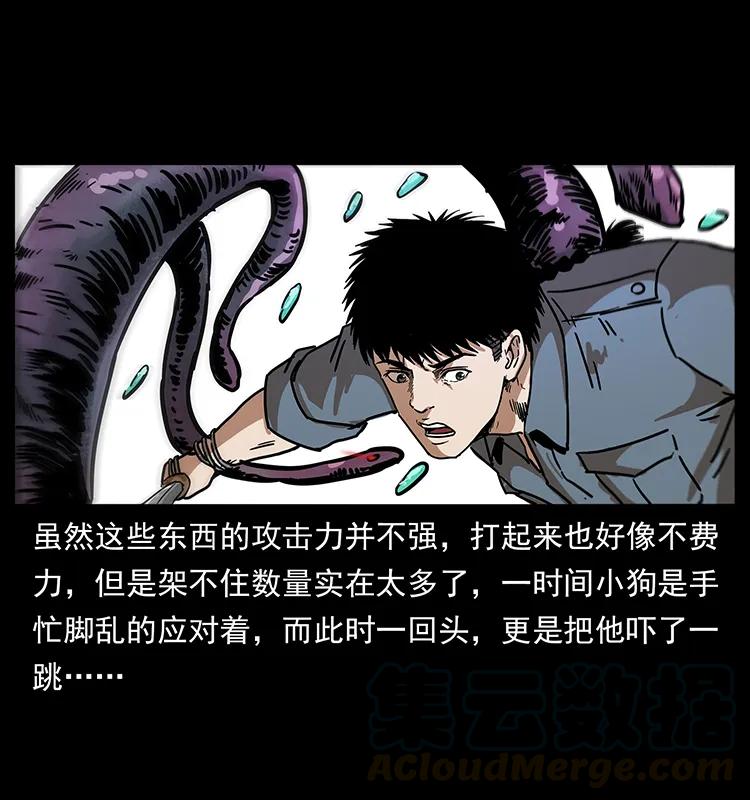 242 陈小狗失算了24