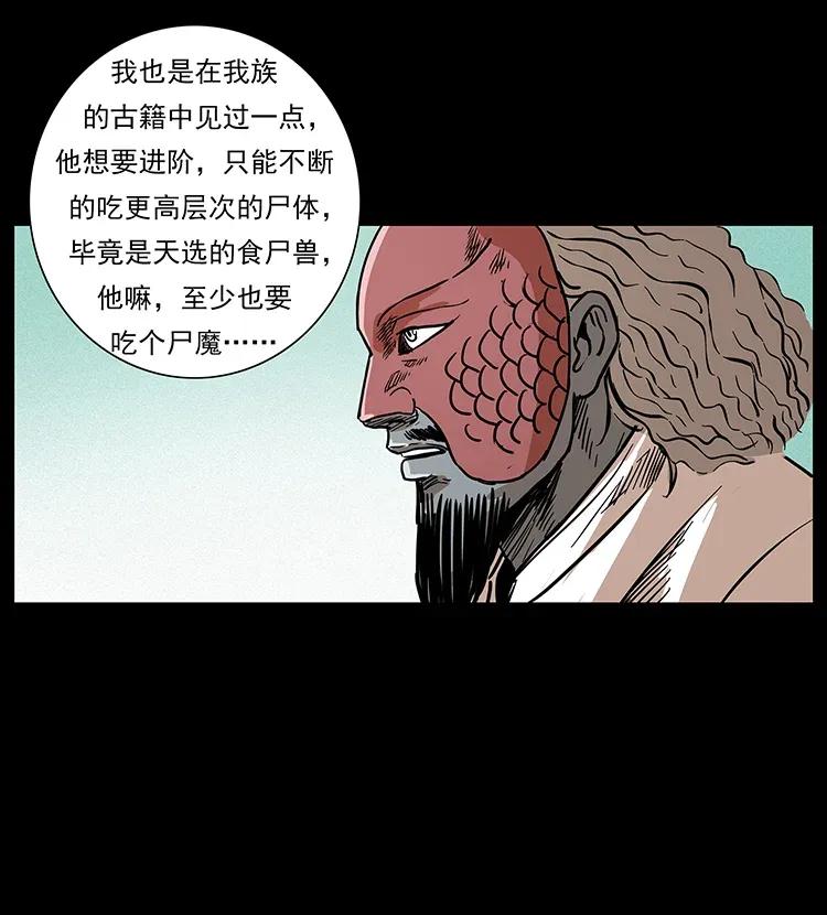 293 赤龙回归51
