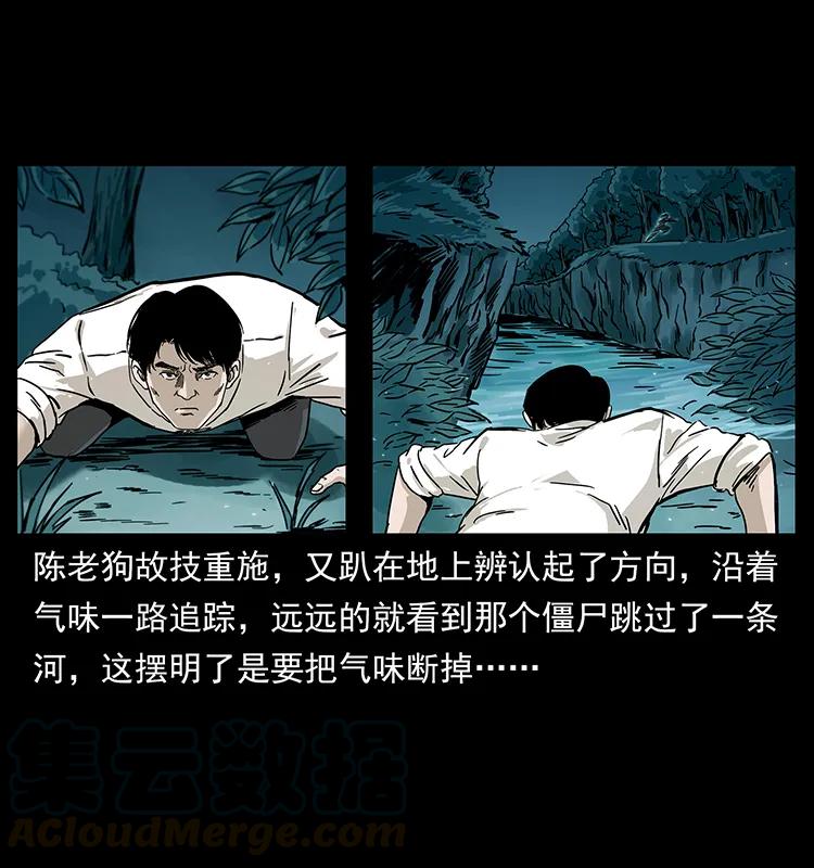 231 东海木龙32