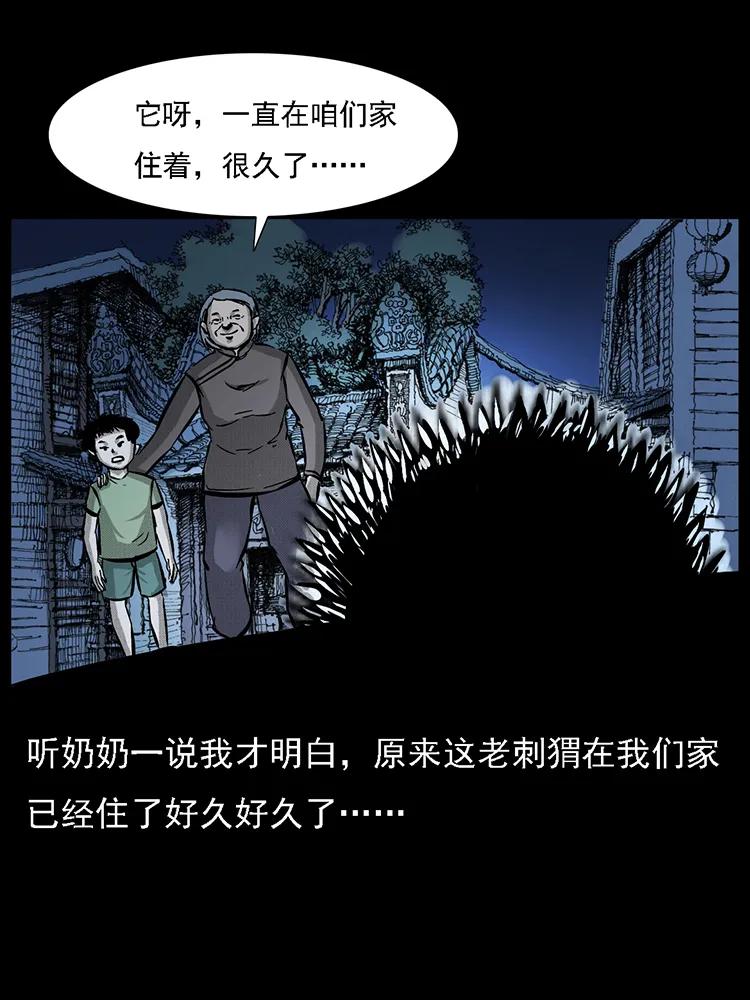 番外2 之保家白仙34