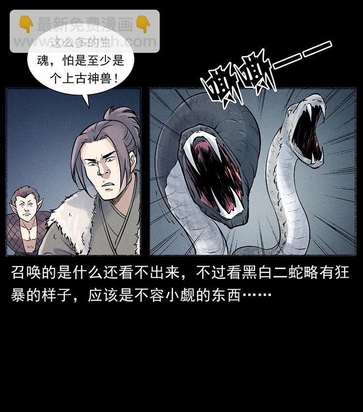 外传 洛生传7 黑白双蛇75