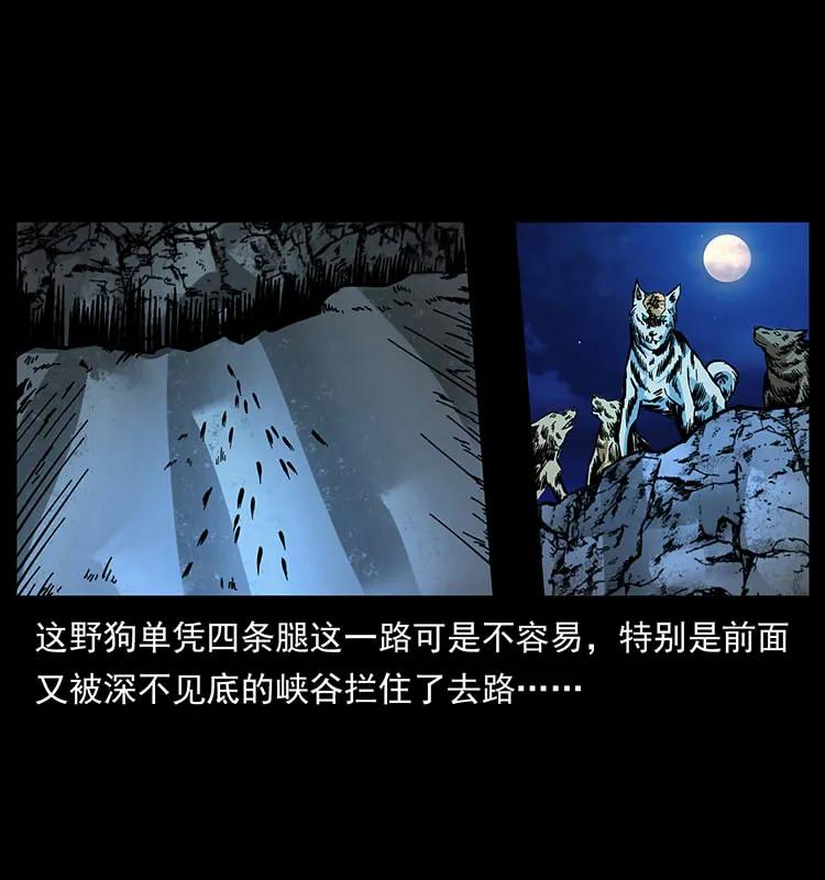170 布局23
