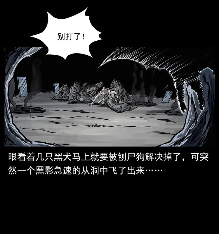 252 危机！危机41
