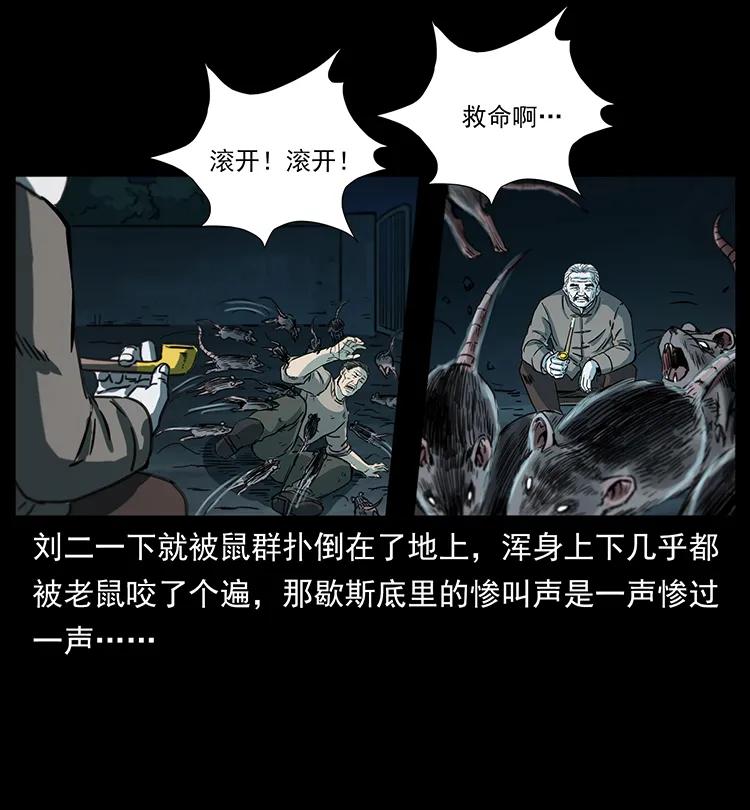 251 刨尸狗遇险22