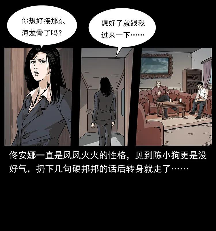 229 东海龙骨51