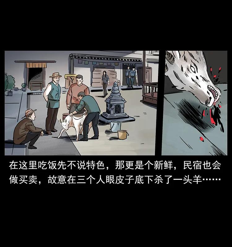 262 藏地神族74