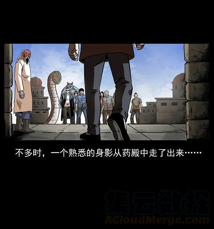 293 赤龙回归28