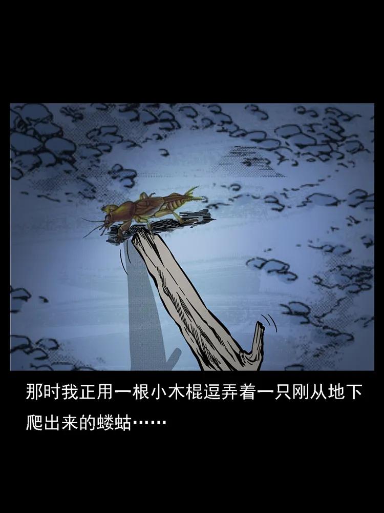 番外2 之保家白仙45
