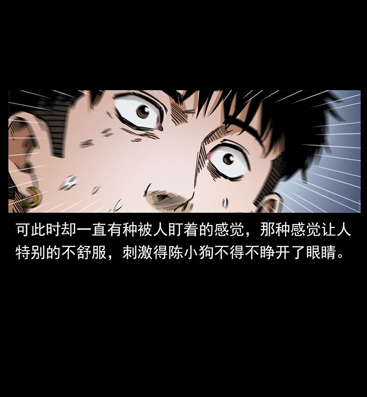484 极地鸦族85