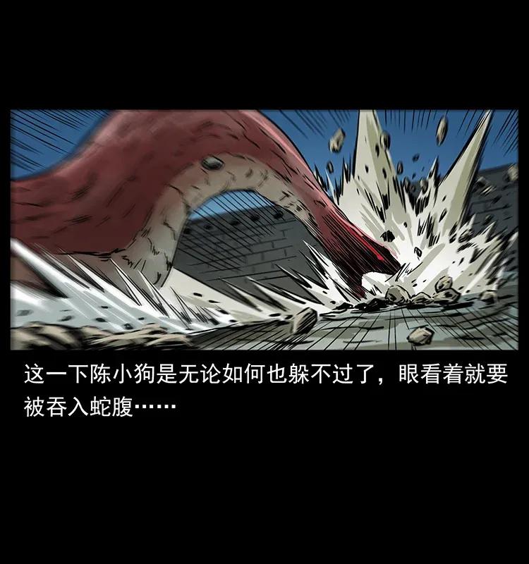 288 强者归队！49