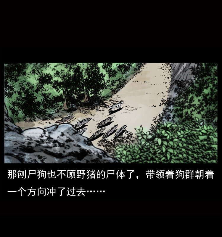 050 刨尸狗传奇37