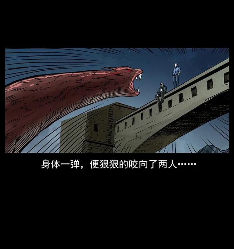 288 强者归队！63