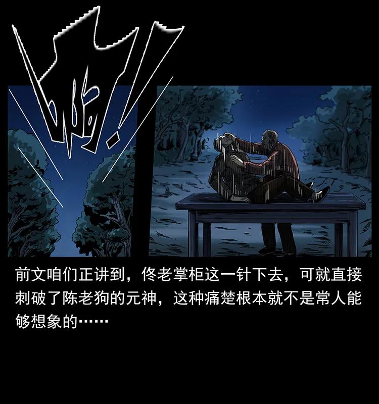 260 阴阳两世5