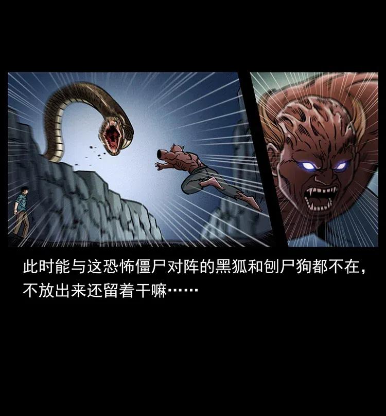 372 天击雷尸62