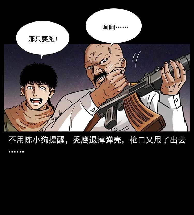 318 沙漠秃鹰34
