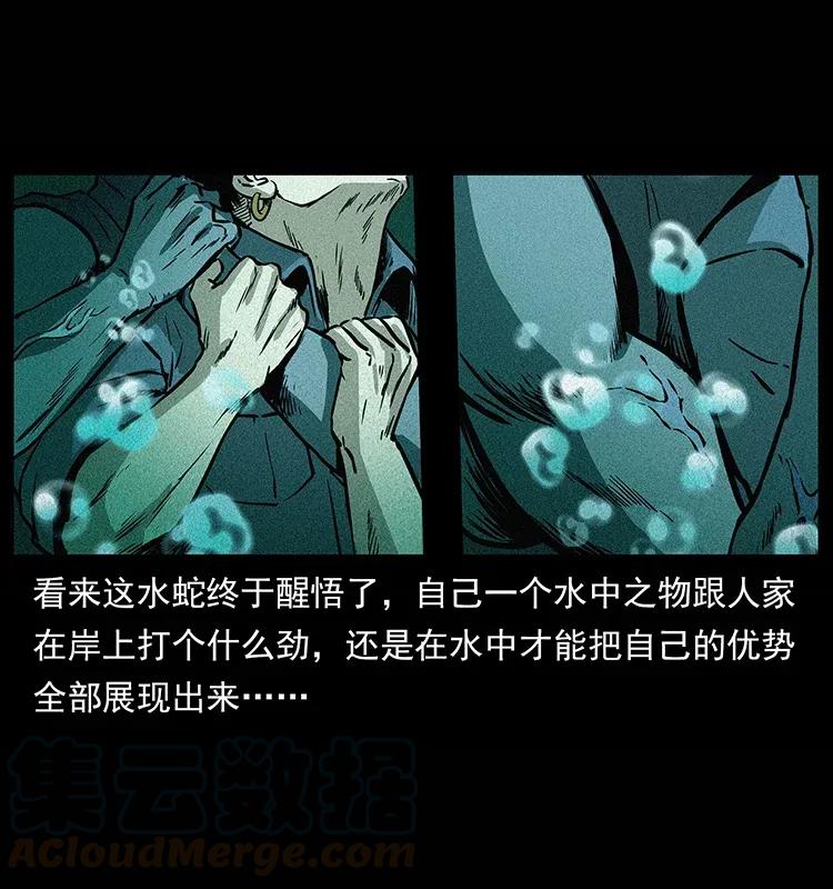 285 水蛟一族20