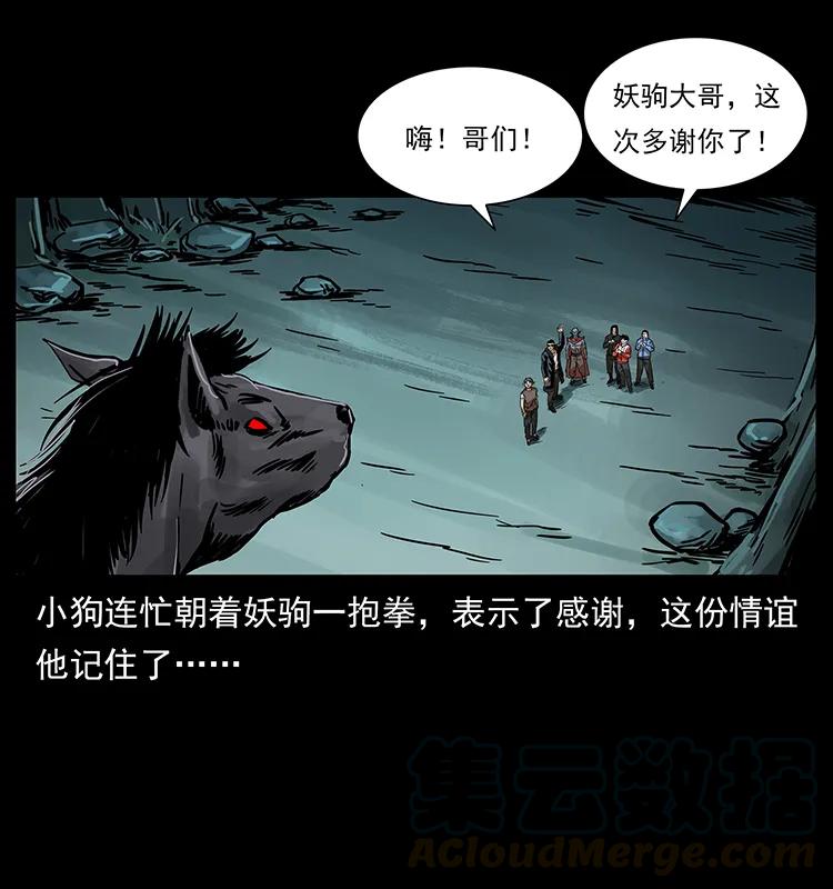 220 漠北白狼王72