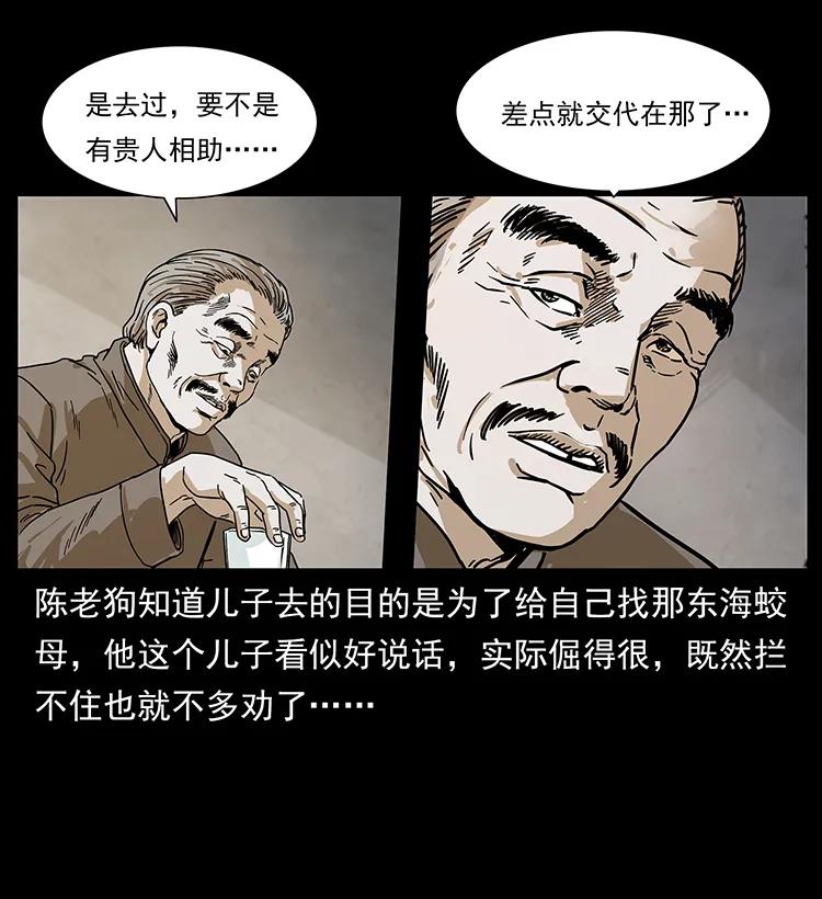 231 东海木龙9