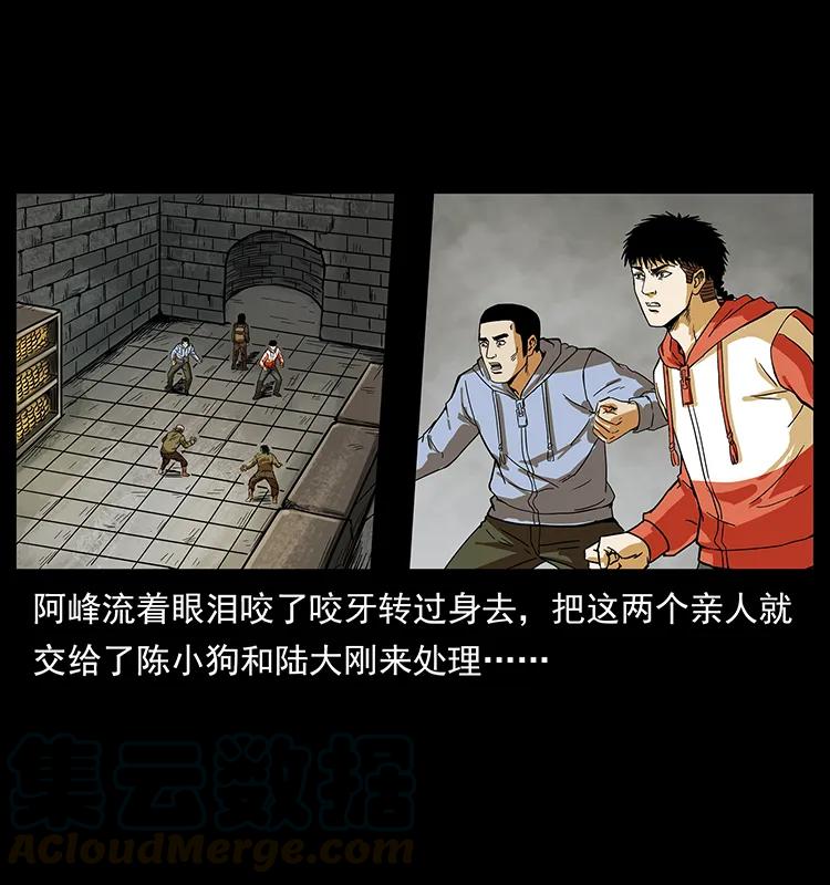 216 守墓恶灵84