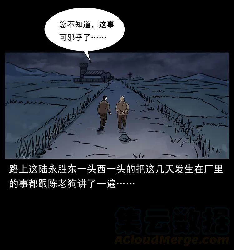 230 生桩16