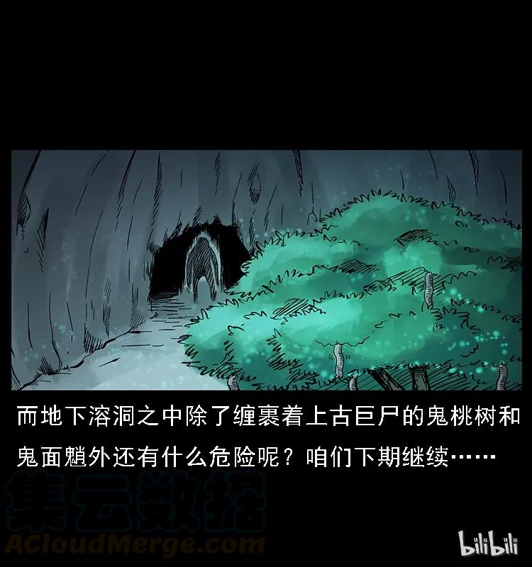 082 鬼桃树80