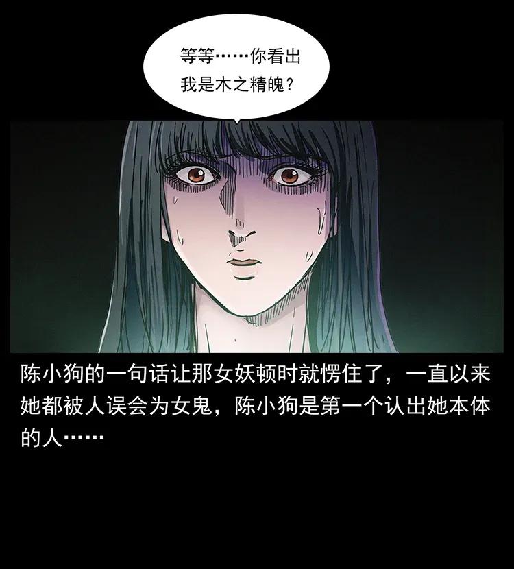 306 怨鬼？精怪？79