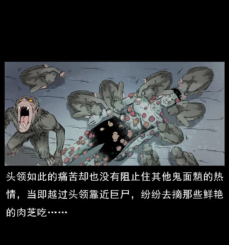 082 鬼桃树42
