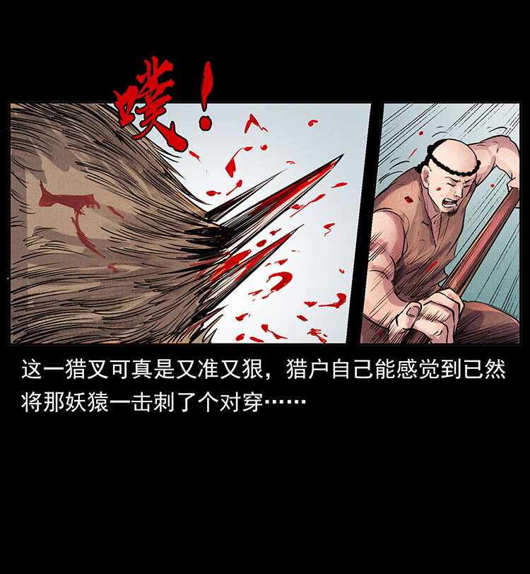 外传 洛生传1 猎妖81