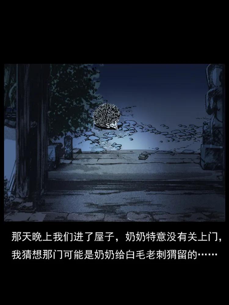 番外2 之保家白仙38