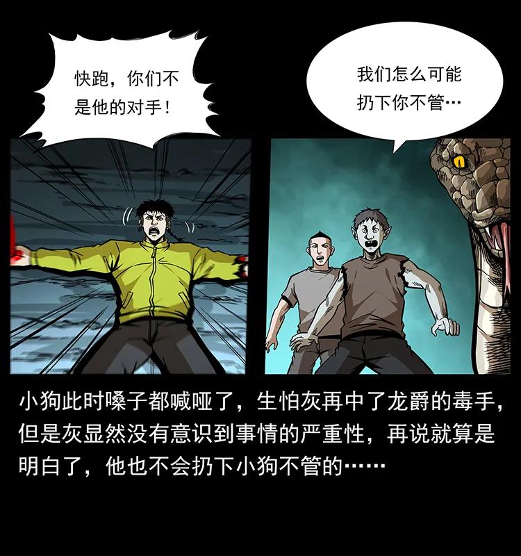 189 龙家的实力18