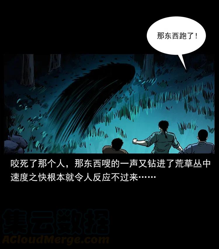 342 白毛僵尸4