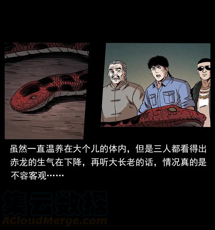 291 大神命阵56