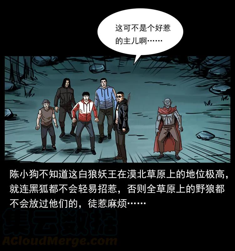 220 漠北白狼王80