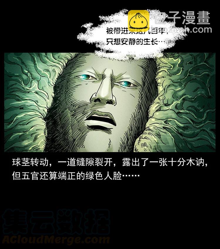 390 斩草除根78