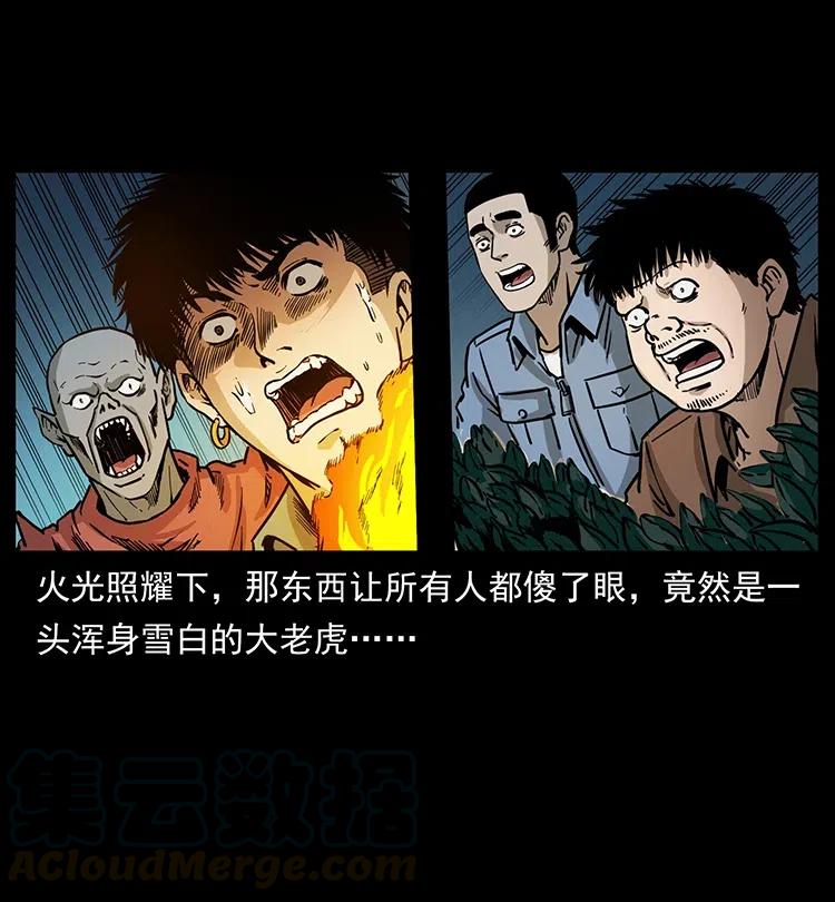 342 白毛僵尸20